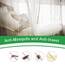 BUZIFU Moskitonetz Doppelbetten 200x200x220cm XXL Mückennetz Bett Rechteckiger Netzvorhang Reise Fliegennetz Moskitonetz Baldachin Mosquito Net Bed für Zuhause Camping Geeignet, 1Einträge