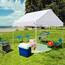 Eurmax 20,3 x 2,4 m Ez Pop-Up-Überdachung, Outdoor Baldachin, Sofort-Party-Zelt, kommerzielle Pavillon-Bonus-Tasche (braun)