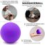 Massage-Ball [6cm Durchmesser] - Als Lacrosse-Ball und Faszien-Ball zur Selbstmassage und zur Triggerpunkttherapie (genaue Behandlung von Verspannungen) geeignet (Lila)
