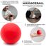 Massage-Ball [6cm Durchmesser] - Als Lacrosse-Ball und Faszien-Ball zur Selbstmassage und zur Triggerpunkttherapie (genaue Behandlung von Verspannungen) geeignet (Rot)