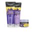 John Frieda Violet Crush Intensiv-Silber-Shampoo - Anti-Gelbstich - Auch gegen Orangetöne - Mit violetten Pigmenten, 250 ml