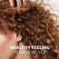 Wella Professionals Elements Renewing Conditioner – Anti Frizz Haarspülung mit natürlichen Inhaltsstoffen für trockenes Haar und empfindliche Kopfhaut – Nachfüllpack 1 l