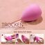 BEAKEY 6-Teiliges Make up Schwamm Set, Foundation Blending Beauty Sponge, Rosa Makeup Schwämme
