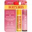 Burt's Bees Lippenpflege im Multipack, Bienenwachs Lippenbalsam und Getönter Hibiskus Lippenbalsam, Günstiges 2er-Pack, 2 x 4,25 g