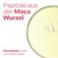 WELEDA Bio Straffende Augenpflege - Naturkosmetik Natural Anti Aging Augencreme mit Granatapfelsamenöl & Maca-Peptiden. Augenpflege mindert Falten & Augenringe. Strafft die Haut um die Augen (1x12ml)