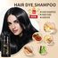 GFEUGS Haarfarbe Haarfärbeshampoo, 500ML Hair Dye Shampoo 3 in 1 Gegen Graue Haare, Hair Color Sofort Haarfarbe Shampoo Tönungsshampoo, Farbshampoo Haartönung für Männer Frauen (Schwarze)