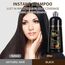 GFEUGS Haarfarbe Haarfärbeshampoo, 500ML Hair Dye Shampoo 3 in 1 Gegen Graue Haare, Hair Color Sofort Haarfarbe Shampoo Tönungsshampoo, Farbshampoo Haartönung für Männer Frauen (Schwarze)