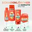 Garnier Fructis Schadenlöscher Haarpflege-Set für geschädigtes Haar, Mit Pro-Keratin & Marulaöl, Shampoo (250 ml), Spülung (200 ml), Deep Repair Haarkur (200 ml), Hair Bomb reparierende Maske (320 ml)