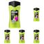 Axe 3in1 Duschgel & Shampoo, Epic Fresh, 250 ml (Packung mit 5)