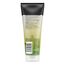 John Frieda Deep Cleanse & Repair Shampoo - Inhalt: 250 ml - Pflege & sofortige Regeneration - Mit nährender Avocado (Packung mit 2)