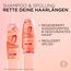 L'Oréal Paris Elvital Dream Length Super Aufbau Shampoo, für traumhaft langes Haar, mit Rizinus-Öl, Vitaminen & pflanzlichen Proteinen, 1 x 1000 ml (Packung mit 2)