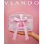 Vlando Matt-Transparente Rosé Kosmetiktasche Mädchen, Rosafarbene Reise Make Up Tasche für Frauen und Damen, wasserdichte Cosmetic Bag Organizer mit Reißverschluss, Tragbare Hautpflegetasche