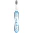 Chicco Oral Set inklusive Zahnbürste und Zahnpaste Erdbeere mit Flourid, blau