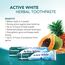 Himalaya Active white Gel | Herbal toothpaste with fruit enzymes |Teeth whitening, 100% vegetarian -75 ml (Packung mit 3)