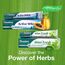Himalaya Herbals Mint Fresh Herbal Toothpaste Gum Expert Range for Healthy, Protected Gums and Fresh Breath, 75 ml (Packung mit 4)