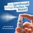 One Drop Only antibakterielles Mundspray gegen Mundgeruch mit natürlichen Inhaltsstoffen für eine effektive Mundhygiene, frischer Atem Spray, mouth spray fresh (1 x 15 ml)