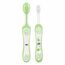 Chicco 00006961000000 Trainingzahnbürste-Set, Enthält Zahnbürste Und Massagebürste, 4M+, grün
