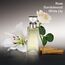 CALVIN KLEIN Eternity Eau de Parfum for her, würzig-blumiger Damenduft, 30ml