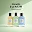 David Beckham Aromatic Greens, Eau de Parfum for him, holzig-grüner Herrenduft, Glasflakon, 100 ml