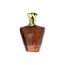 AFNAN Turathi Homme Brown Eau de Parfum 90 ml