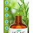 HELAIF Rosmarin Ätherisches Öl 118mL 100% Naturrein Rosmarinöl Für Haarpflege, Aromatherapie, Diffuser, Massage und DIY