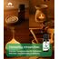 Emma Grün® Teebaumöl Ätherisches Öl 30ml [100% NATURREIN] - Teebaum Diffuser Öl für Raumduft, Aroma Diffuser & Duftlampe - DIY Duftöl als Massageöl, Kerzen Duftöl & Seifenherstellung - Tea Tree Oil
