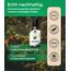 Emma Grün® Bio Zirbenöl [100% NATURREIN] - Echtes Zirbelkiefer Öl 30ml aus Alpen Wildwuchs - WILDE ERNTE - Naturreines Ätherisches Öl - Waldiges Zirbenöl für Diffusor, Zirbenspäne & Sauna