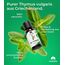 Emma Grün® Bio Thymianöl [100% Naturrein] - Ätherisches Öl 3x 30ml - Würzig-Frisches Thymian Öl zum Einnehmen - Ätherische Öle aus Bio Thymian in LEBENSMITTELQUALITÄT - Essential Oils Aus Griechenland