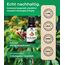 Emma Grün® Bio Nelkenöl [100% Naturrein] - Nelkenöl Bio 3x 30ml - Ätherische Öle Naturrein - Aromatisches Gewürznelkenöl in LEBENSMITTELQUALITÄT - Clove Oil Essential Oils aus Madagascar