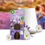 Air Wick Aroma-Öl Flakon Entspannender Lavendel, 1 Stück
