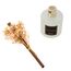 Cocorrína Raumduft Reed Diffuser mit 8 Duftstäbchen 200ml - Schwarzwald, Natürlich, Langanhaltend, Home Duft ätherisches Öl Reed Diffusor für Badezimmer Regal Dekoration