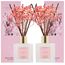 COCORRÍNA Raumduft Reed Diffuser mit 8 Duftstäbchen 200ml, Cherry Blossom, 2 Pack, Natürlich, Langanhaltend, Home Duft für Badezimmer Regal Dekoration