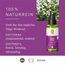 PRIMAVERA Raumspray Yoga Flow bio 50 ml - Myrte, Grapefruit und Sandelholz - Aromadiffuser, Aromatherapie - befreiend - vegan