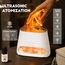 SALKING Aroma Diffuser mit Salt Range Pakistan Leuchte, 7 Farben LED Flammeneffekt Diffusor für ätherische Öle, Ultraschall Aromatherapie Luftbefeuchter, Automatisch Abschalten,150ml(RGB Weiß)