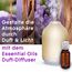 Glade Aromatherapy Essential Oils Duft-Diffuser Starterset Nachfüller, Moment of Zen, Lavendel + Sandelholz, 17.4ml