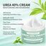 2 Packungen Urea Creme 40% 150 Gramm || Hornhautentferner Fußcreme, Handcreme, Bodylotion mit Hyaluronsäure, Teebaum und Aloe Vera für tiefe Feuchtigkeit, Kallusentferner und Erweichung