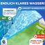 PoolLöwe® Algizid für Pool mit Klareffekt 2.0 und [360° Algenschutz] | Algenvernichter Pool flüssig 10L | Maximaler Algenschutz für Schwimmbad & Whirlpool | Algenfrei Algenmittel Algezid Poolklar