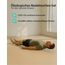 LifeGoods ECO Akupressurmatte Mit Kissen - Akkupressmatte - Akkupressurmatte+ - Akupressur Matte - Akupunktur Matte - Massagematte - Rücken - Stachelmatte - Fakirmatte - Nagelmatte - Acupressure Mat