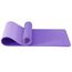 Good Nite Yogamatten Für Frauen Rutschfeste Strukturierte Oberflächen Gymnastikmatte Yoga Matte Dicke 10mm Mit Tragegurt Tpe-Übungsmatte Für Yoga Pilates Gymnastik (183X61cm) (Dunkellila/Helllila)