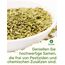BIO Fenchelsamen 500g Fenchel Gewürz Fenchelsaat Fennel Seeds ganz | BIO-Qualität | Teegewürz Kräutertee Fencheltee | OmVeda Gewürze | Für Küche und Tee