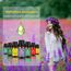 Ätherische Öle Set 18 x 10 ml, Teebaum, Lavendel, Eukalyptus, Weihrauch, Zitronengras, Rosmarin, Orange, Minze, Zitrone, Bergamotte, Ylang-Ylang, Grapefruit, Kamille, Rose, Vanille, Patchouli Salbei