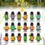 Ätherische Öle Set 18 x 10 ml, Teebaum, Lavendel, Eukalyptus, Weihrauch, Zitronengras, Rosmarin, Orange, Minze, Zitrone, Bergamotte, Ylang-Ylang, Grapefruit, Kamille, Rose, Vanille, Patchouli Salbei