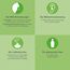 Eukalyptusöl BIO⎟30 ml Ätherisches Öl 100% Naturrein⎟Eucalyptus Radiata Inhalation Diffusion Aromatherapie Aroma Diffuser Naturkosmetik Erfrischend Befreiend verstopfte Nase Vegan⎟Bien-Être Mearome