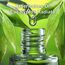 Eukalyptusöl BIO⎟30 ml Ätherisches Öl 100% Naturrein⎟Eucalyptus Radiata Inhalation Diffusion Aromatherapie Aroma Diffuser Naturkosmetik Erfrischend Befreiend verstopfte Nase Vegan⎟Bien-Être Mearome