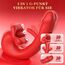 Vibration für Frauen Dildo Vibrator, G Punkt Vibratorensets mit Klitorisstimulation für Frau mit 10 Zungenlecken 10 Vibrationmodi 10 Schlagmodi, Sex Spielzeug für die Frauen Paare Klitoris Stimulator