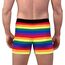 Aueyan, Pride Unterwäsche für Herren, Boxershorts, Bunt, Regenbogen-Unterwäsche, Gestreifte Boxershorts, Batikunterhose, Lustiges Herren-Accessoire, Lustige Unterhose
