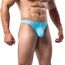 Summer Code Herren G String Tanga Männer Low Rise Micro Mesh Tanga Unterwäsche T-Back Unterhose mit Stretch, Himmelblau, L