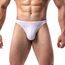 Summer Code Herren G String Tanga Männer Low Rise Micro Mesh Tanga Unterwäsche T-Back Unterhose mit Stretch, Weiß, XXL