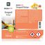 MICROACTIV Orangenöl Reiniger Konzentrat 4 x 500ml - Allzweckreiniger & Fettlöser mit frischem Orangenduft - Universalreiniger Made in Germany