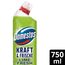 Domestos Kraft & Frische WC-Gel Lime Fresh sorgt für hygienische Sauberkeit im Badezimmer